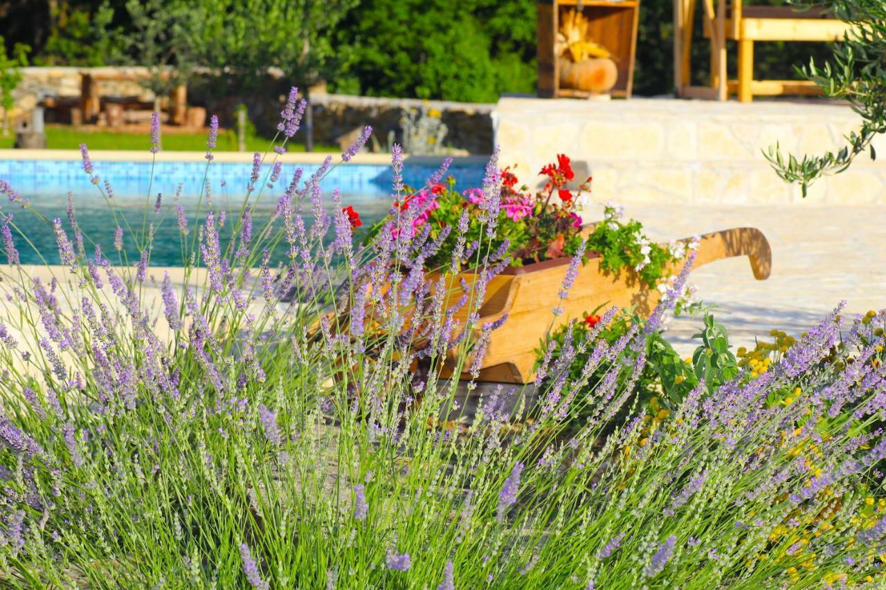 Oak House Villa Zadvarje Ngoại thất bức ảnh
